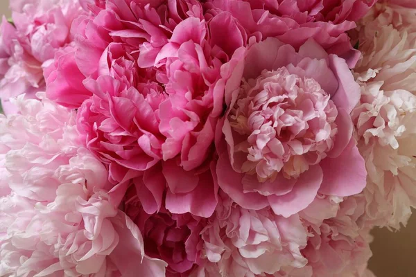 Closeup View Beautiful Pink Peony Bouquet — Stockfoto