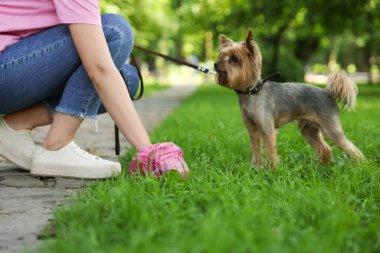 Parktaki yeşil çimlerden köpeğinin kakasını toplayan kadın, yakın plan.