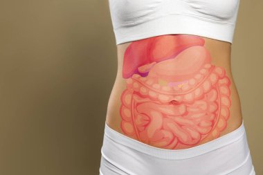 Closeup view of woman with illustration of abdominal organs on her belly against beige background. Space for text