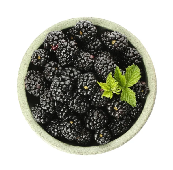Bowl Fresh Ripe Blackberries Isolated White Top View — Zdjęcie stockowe