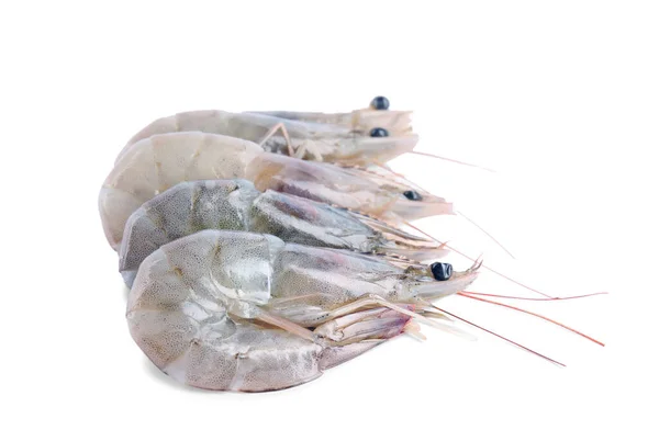 白で隔離された新鮮な生エビ 健康的な魚介類 — ストック写真