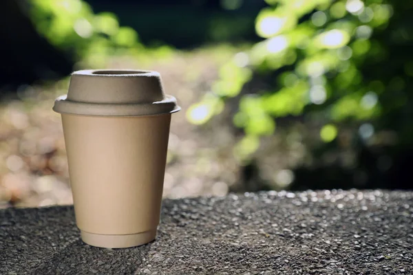 Cardboard Takeaway Coffee Cup Lid Stone Parapet Outdoors Space Text — Fotografia de Stock