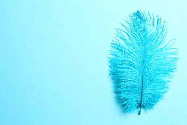 Beautiful Delicate Feather Light Blue Background Top View — 图库照片