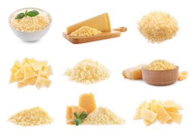 Set with delicious parmesan cheese on white background