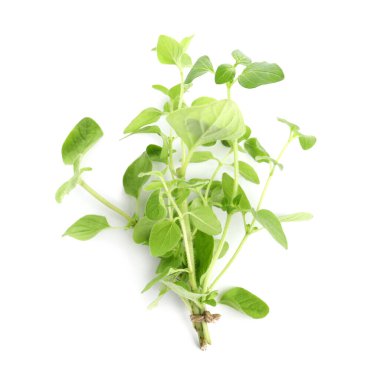 Bunch of aromatic fresh basil leaves on white background, top view