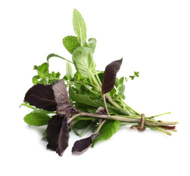 Bunch of fresh aromatic herbs on white background