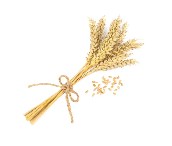 Bunch Wheat Grains White Background Top View — Stock Photo, Image
