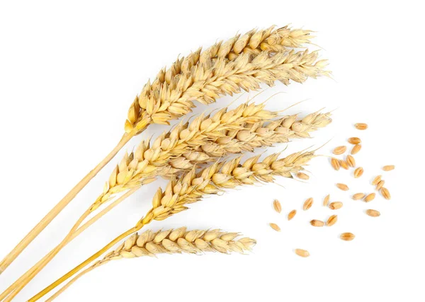 Уши Пшеницы Зерна Белом Фоне Вид Сверху — стоковое фото