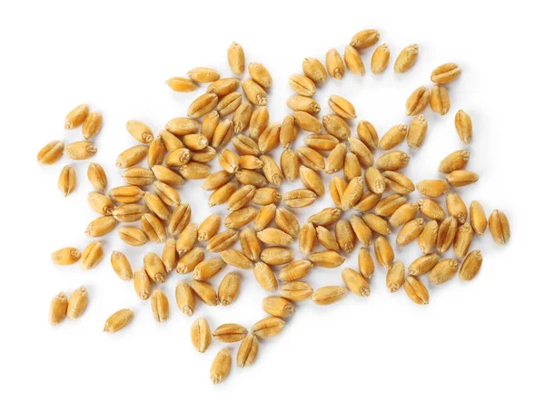 Pile of wheat grains on white background, top view