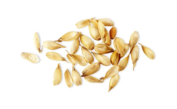 Pile Wheat Grains White Background Top View — 图库照片