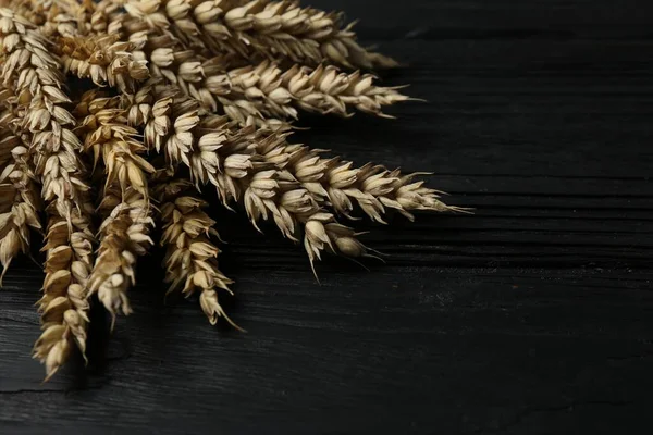 Bunch of wheat on black wooden table, closeup