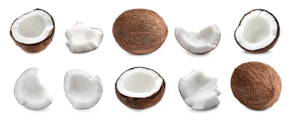 Mit Reifen Kokosnüssen Auf Weißem Hintergrund Bannerdesign — Stockfoto