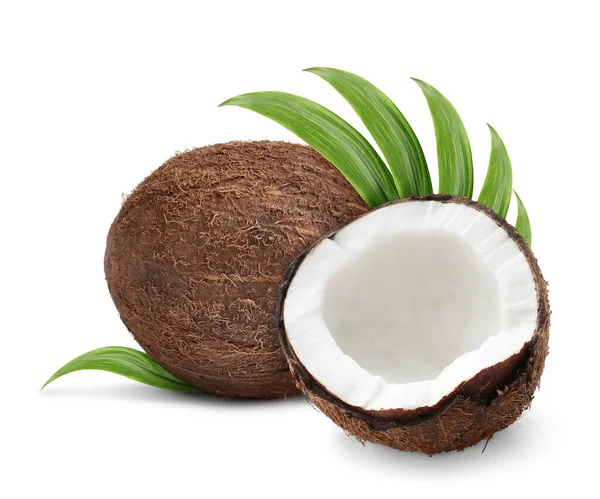 Tasty Ripe Coconuts Green Leaves White Background — ストック写真