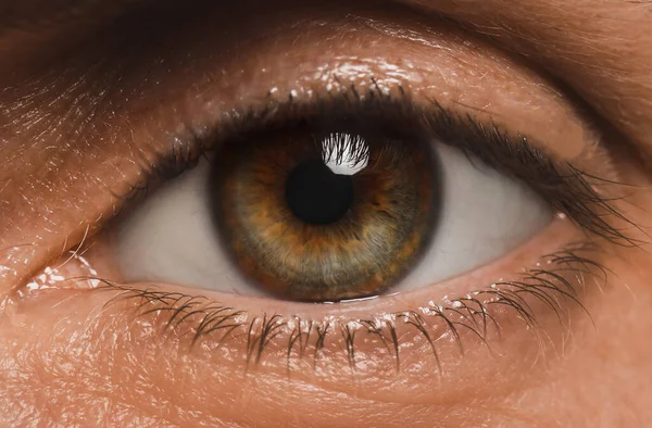 Closeup View Man Beautiful Eye — Stockfoto