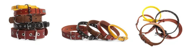 Set Different Leather Dog Collars White Background Banner Design — Stockfoto