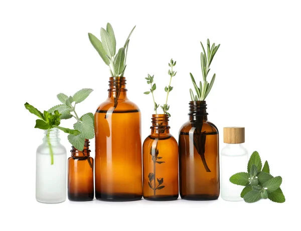 Set Bottles Different Essential Oils Leaves White Background — Stock fotografie