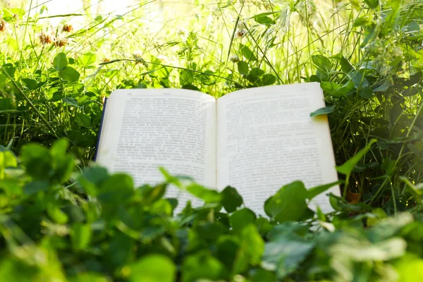 Open Book Green Grass Garden — Stock Fotó