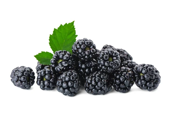 Tasty Ripe Blackberries Leaves White Background — Stock Photo, Image