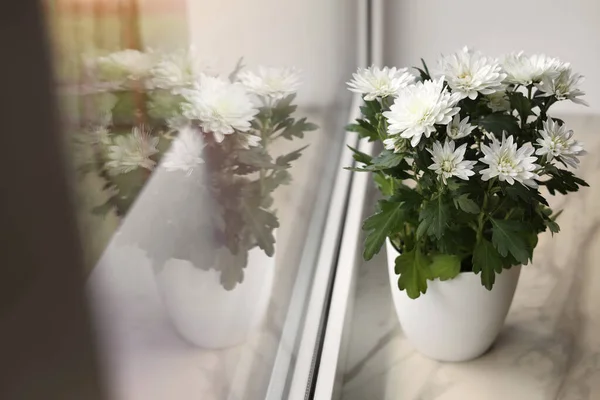 Красиві Квіти Горщиками Хризантеми Білому Підвіконні Приміщенні Простір Тексту — стокове фото