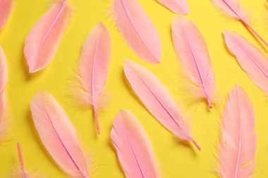 Beautiful pink feathers on yellow background, flat lay