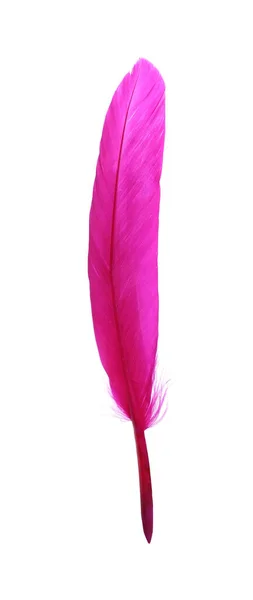 Fluffy Beautiful Magenta Feather Isolated White — Foto Stock