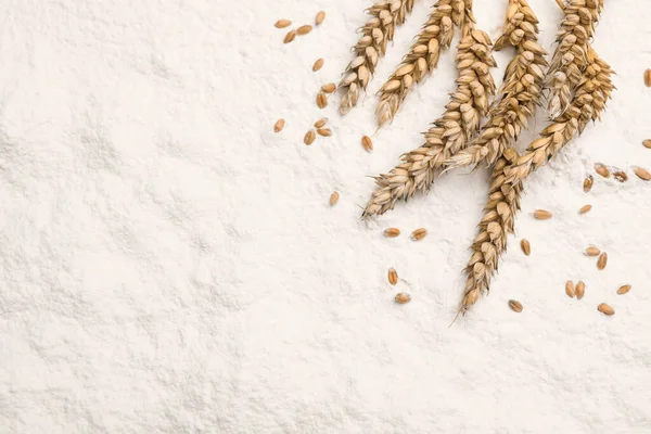 Spikes Wheat Grains Flour Flat Lay Space Text — Foto Stock