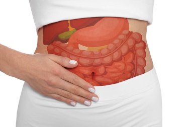 Closeup view of woman with illustration of abdominal organs on her belly against white background