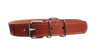 Brown leather dog collar isolated on white