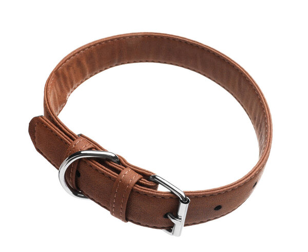 Brown leather dog collar isolated on white