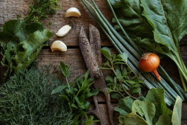 Flat lay composition with different herbs and rusty scissors on wooden table