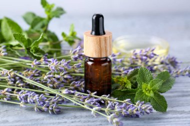 Bottle of essential oil, lavender and mint on grey wooden table