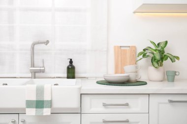 Kitchen counter with sink, houseplant and clean dishes