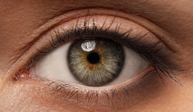 Closeup view of woman with beautiful eye