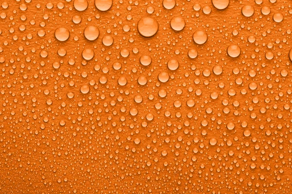 Water drops on orange background, top view