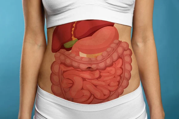 Closeup view of woman with illustration of abdominal organs on her belly against light blue background