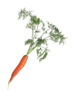 Tasty ripe organic carrot isolated on white