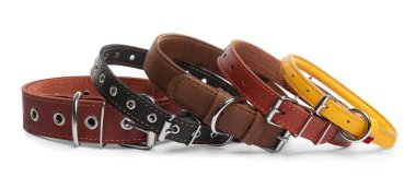 Different leather dog collars on white background