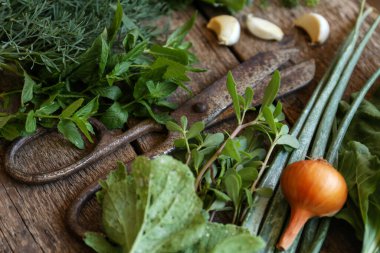 Different herbs and rusty scissors on wooden table, closeup