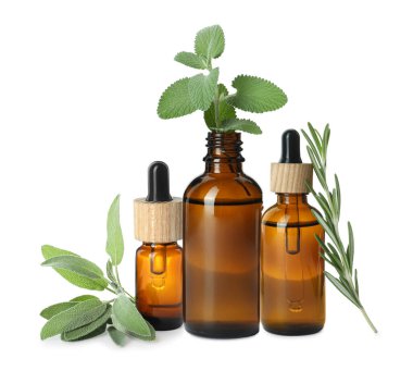 Set with bottles of different essential oils and leaves on white background
