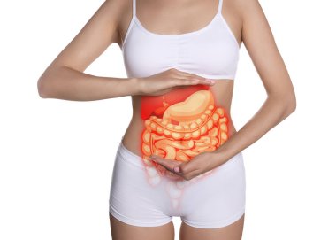 Closeup view of woman with illustration of abdominal organs on her belly against white background