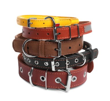 Different leather dog collars on white background