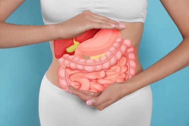 Closeup view of woman with illustration of abdominal organs on her belly against light blue background