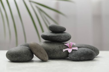 Spa stones and fresia flower on white table indoors