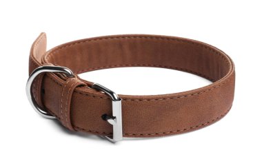 Brown leather dog collar isolated on white