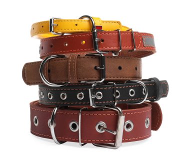 Different leather dog collars on white background