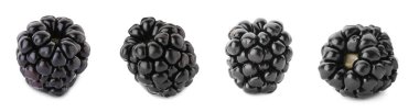 Set with delicious ripe blackberries on white background. Banner design