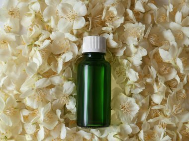 Bottle of jasmine essential oil on white flowers, top view