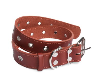 Brown leather dog collar isolated on white