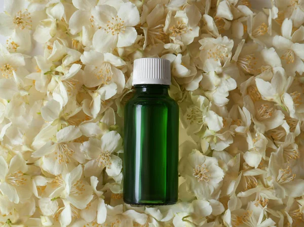 Bottle of jasmine essential oil on white flowers, top view