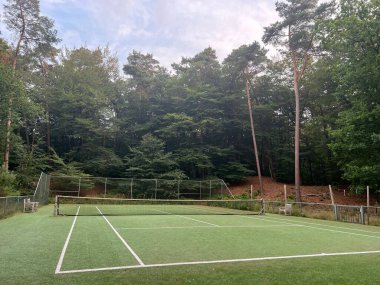 Tennis court with green grass and net outdoors